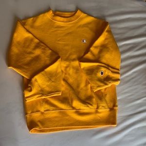 reverse weave champion crewneck